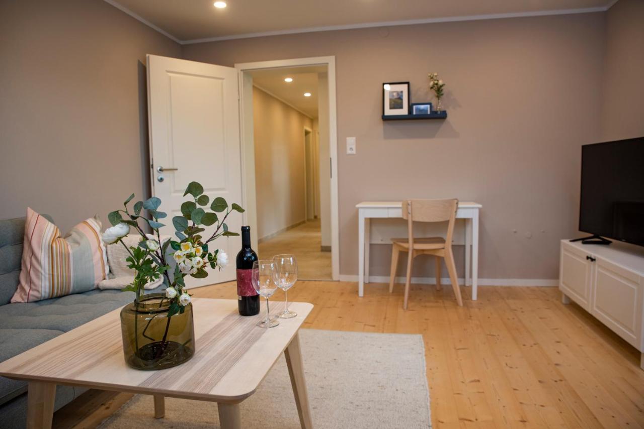 Moderne Wohnung Im Gruenen Mit Privatem Garten Донауэшинген Экстерьер фото