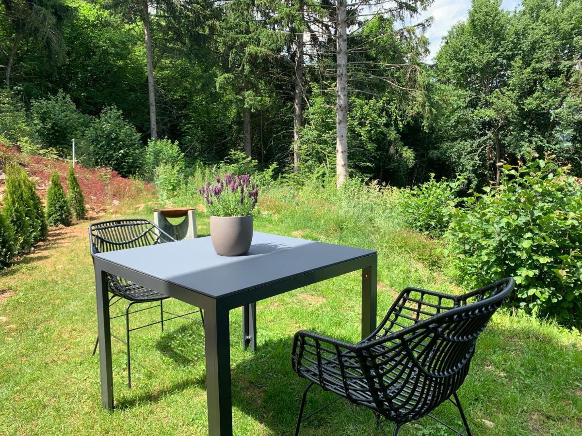 Moderne Wohnung Im Gruenen Mit Privatem Garten Донауэшинген Экстерьер фото