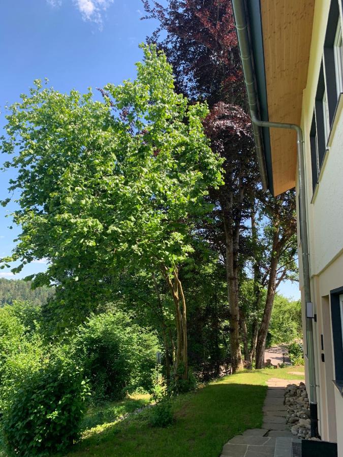 Moderne Wohnung Im Gruenen Mit Privatem Garten Донауэшинген Экстерьер фото