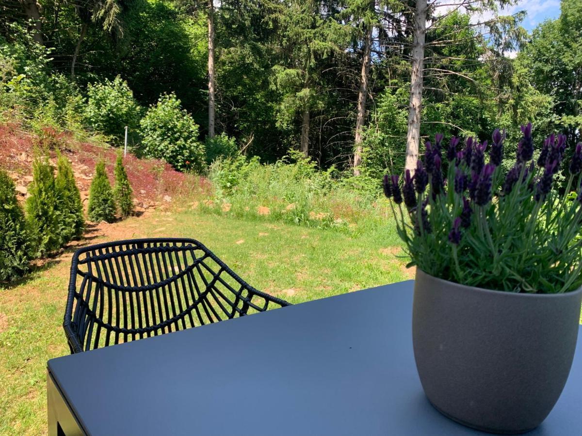 Moderne Wohnung Im Gruenen Mit Privatem Garten Донауэшинген Экстерьер фото